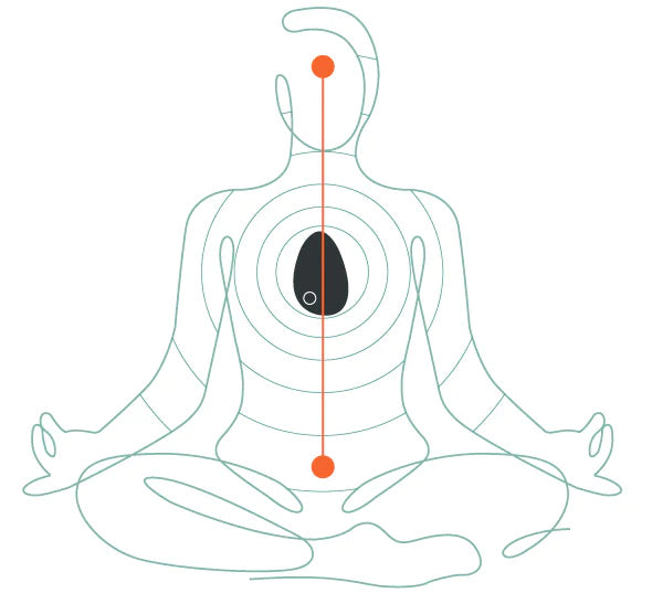 Outline of a body in buddha pose with orange line connecting mind to abdomine going through a sensate on the chest.