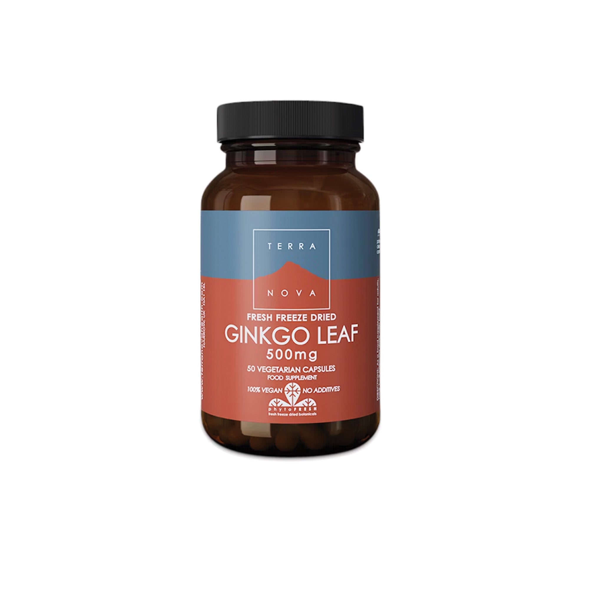 Gingko Leaf 500mg - BRAIN FUNCTION