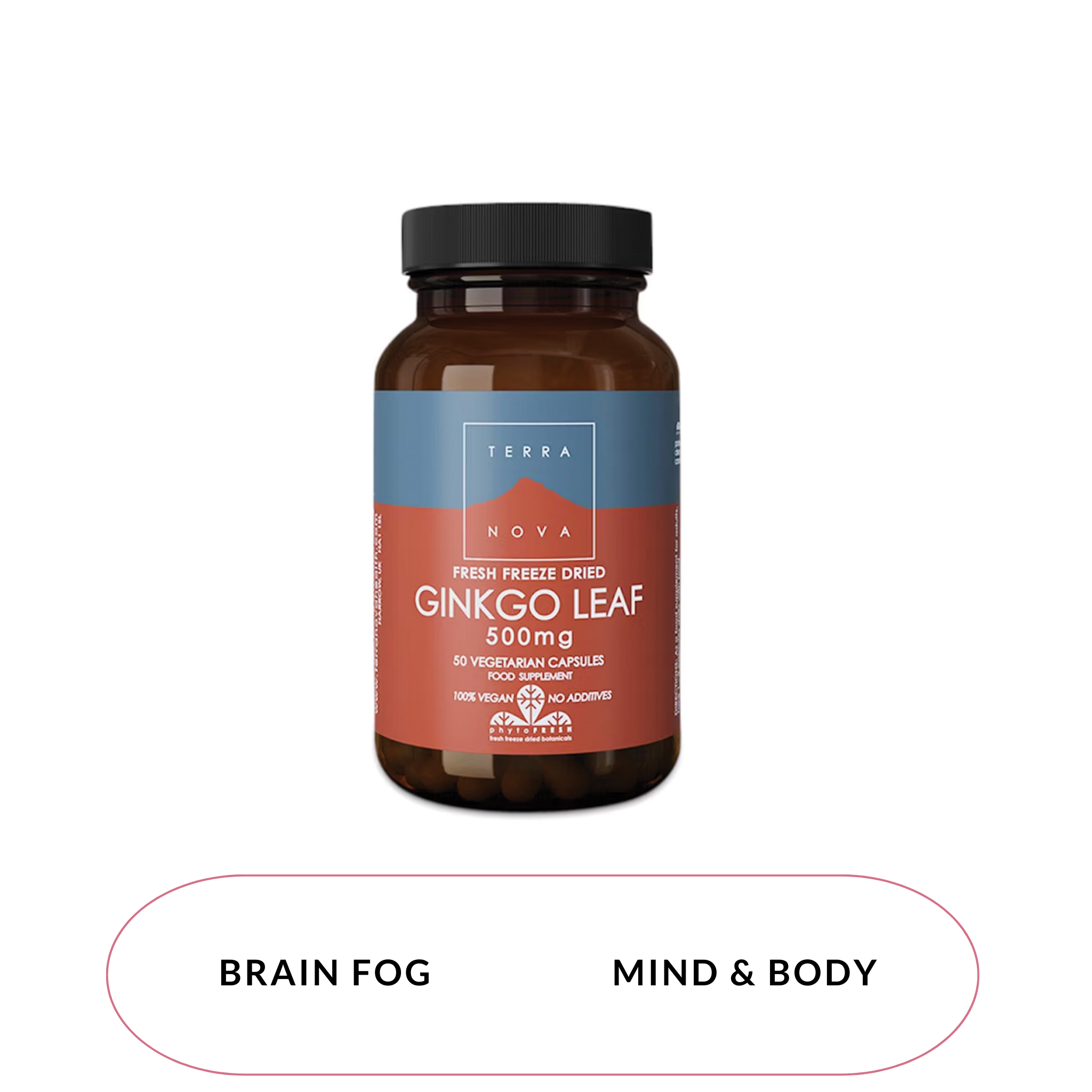 Gingko Leaf 500mg - BRAIN FUNCTION